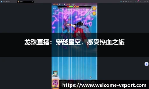 VSport登录入口