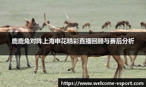 鹿鹿角对阵上海申花精彩直播回顾与赛后分析