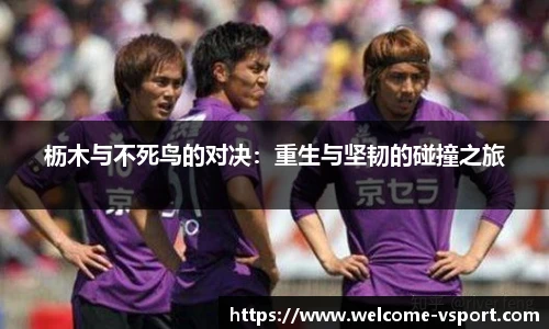 枥木与不死鸟的对决：重生与坚韧的碰撞之旅